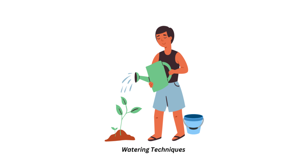 Watering Techniques